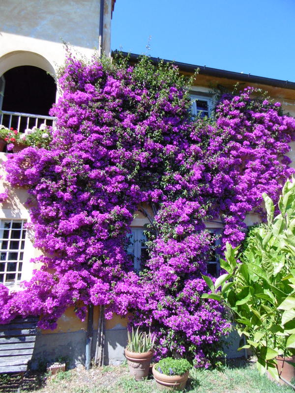 Agenzia Immobiliare San Martino