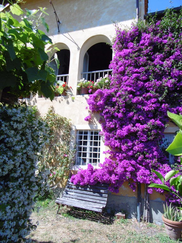 Agenzia Immobiliare San Martino