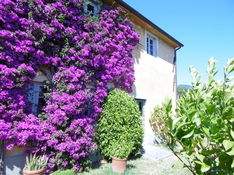 Agenzia Immobiliare San Martino