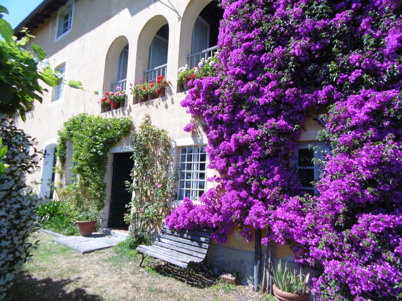 Agenzia Immobiliare San Martino