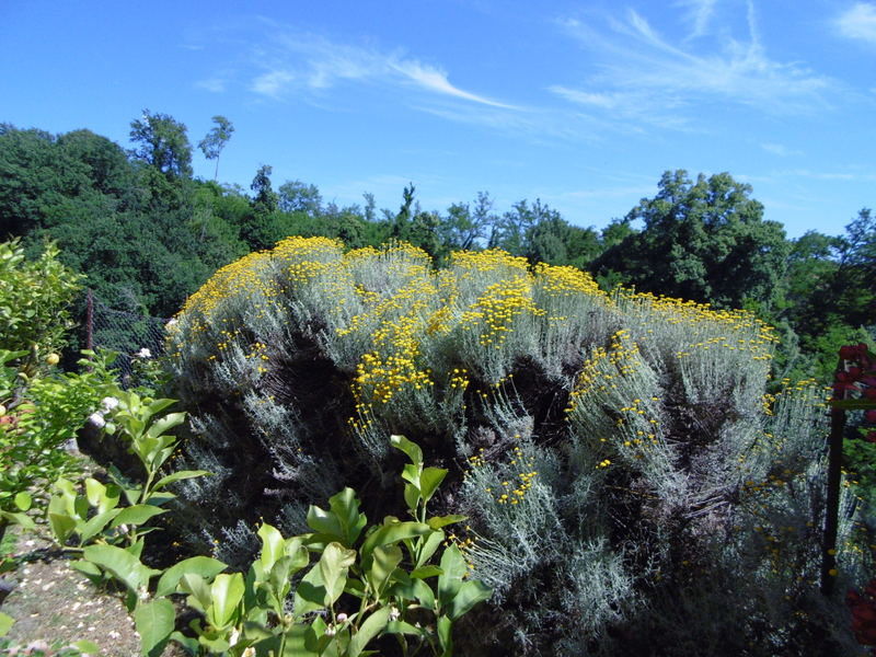 Agenzia Immobiliare San Martino