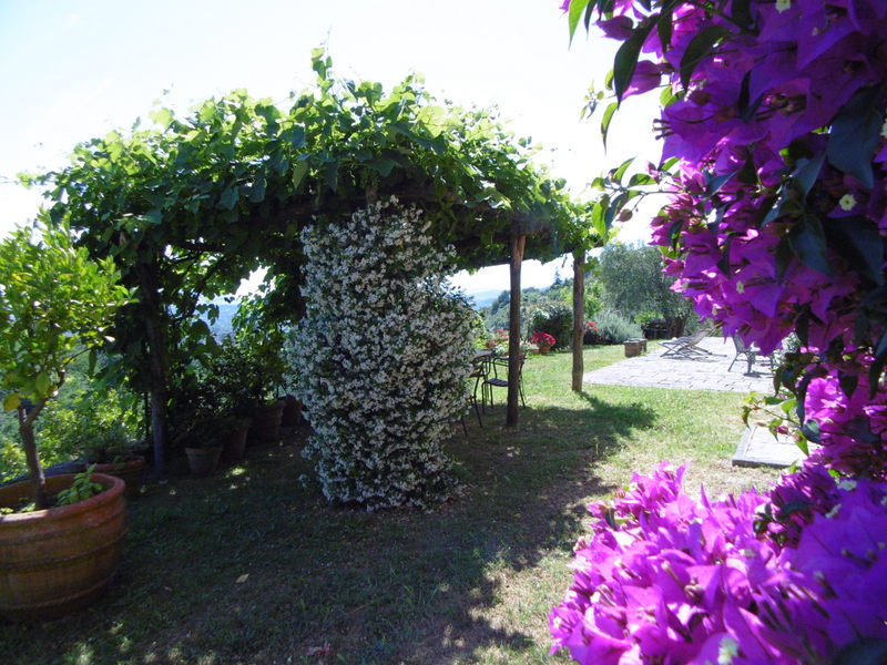 Agenzia Immobiliare San Martino