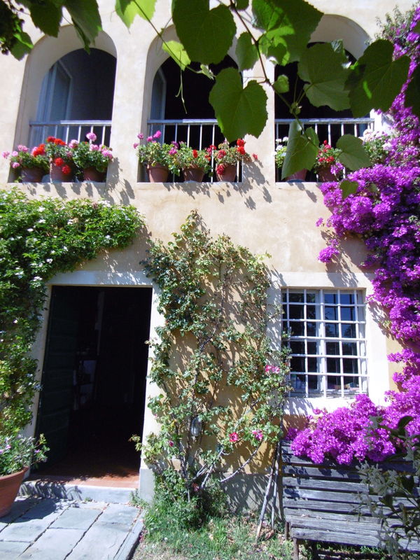 Agenzia Immobiliare San Martino