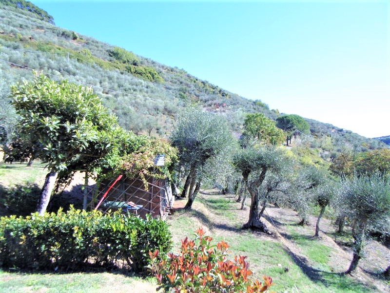 Agenzia Immobiliare San Martino