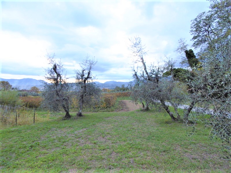 Agenzia Immobiliare San Martino