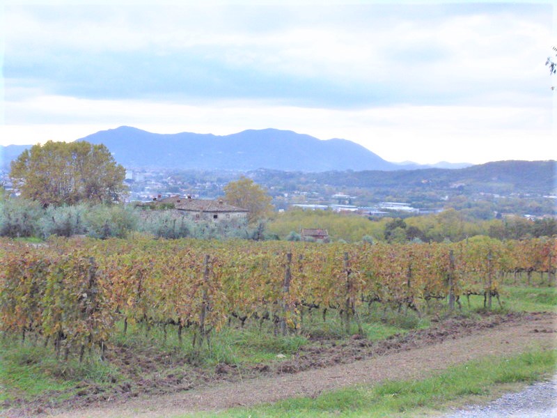 Agenzia Immobiliare San Martino