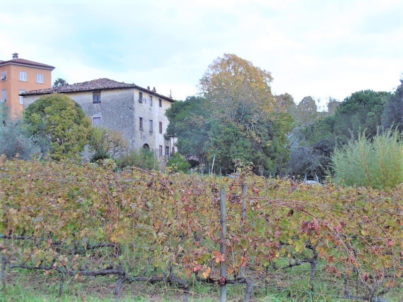 Agenzia Immobiliare San Martino