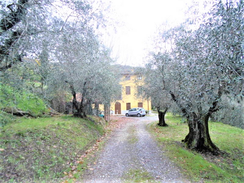 Agenzia Immobiliare San Martino