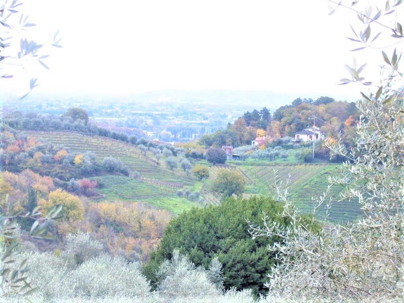 Agenzia Immobiliare San Martino