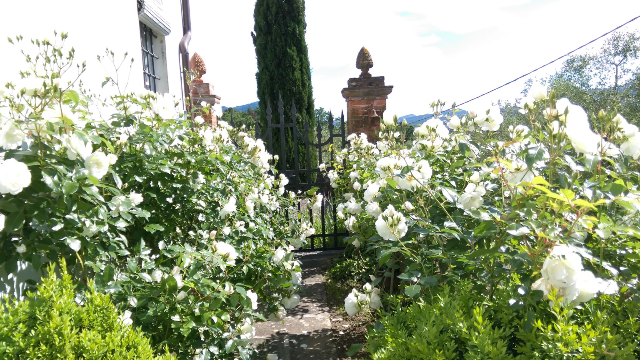 Agenzia Immobiliare San Martino