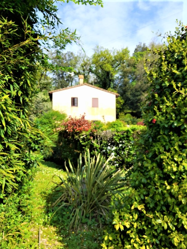 Agenzia Immobiliare San Martino