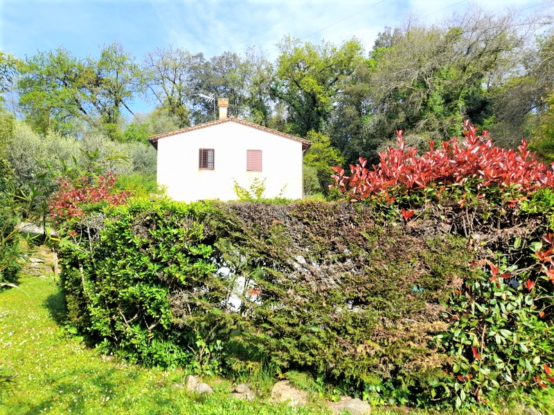 Agenzia Immobiliare San Martino