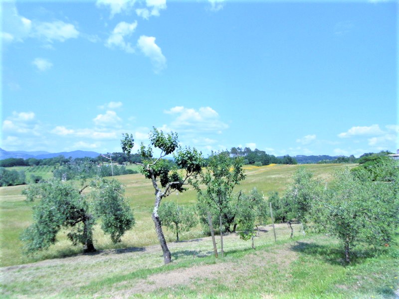 Agenzia Immobiliare San Martino