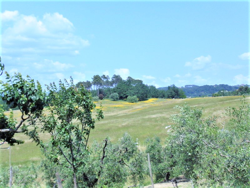 Agenzia Immobiliare San Martino