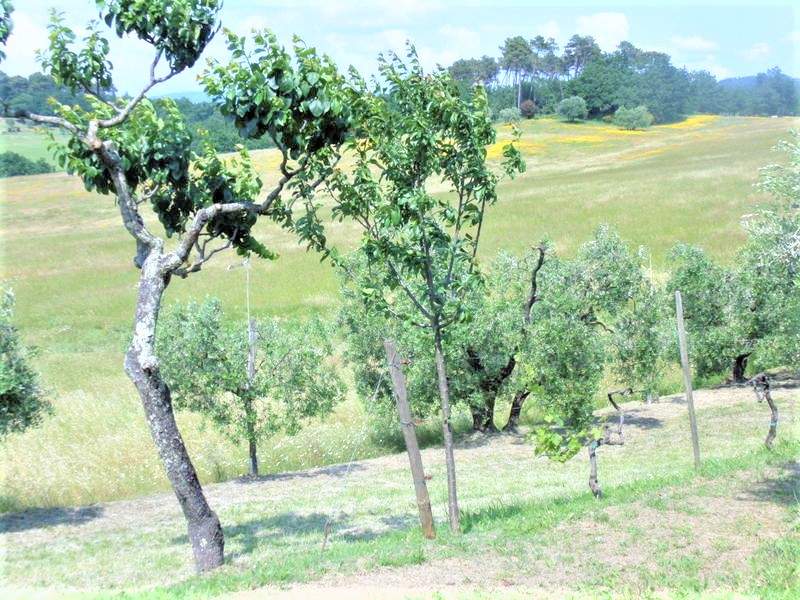 Agenzia Immobiliare San Martino