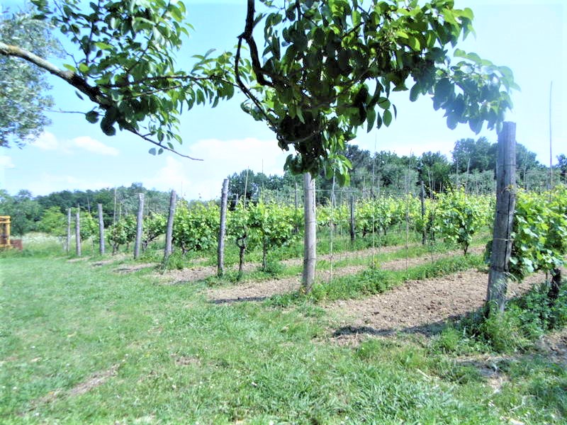 Agenzia Immobiliare San Martino