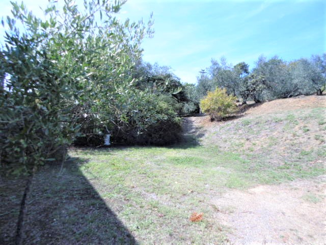 Agenzia Immobiliare San Martino