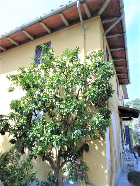 Agenzia Immobiliare San Martino