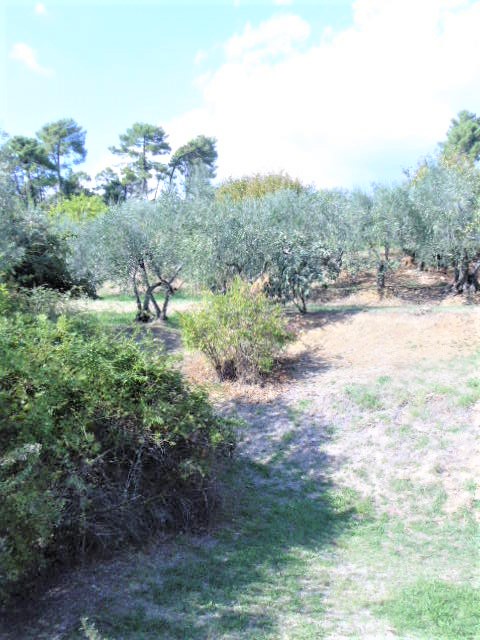 Agenzia Immobiliare San Martino