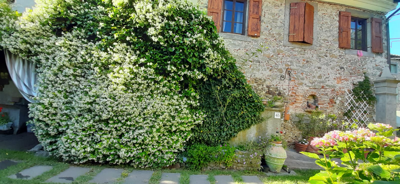 Agenzia Immobiliare San Martino