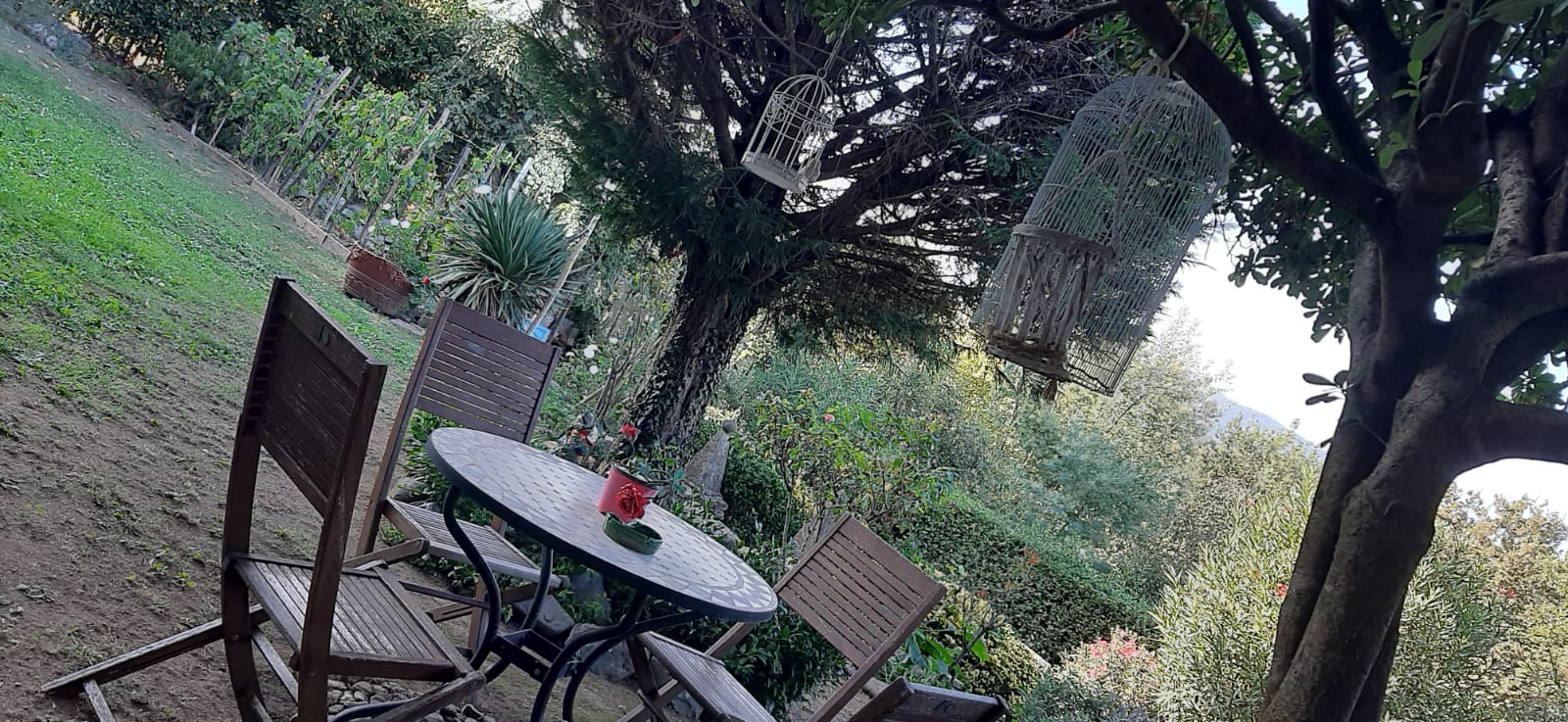 Agenzia Immobiliare San Martino