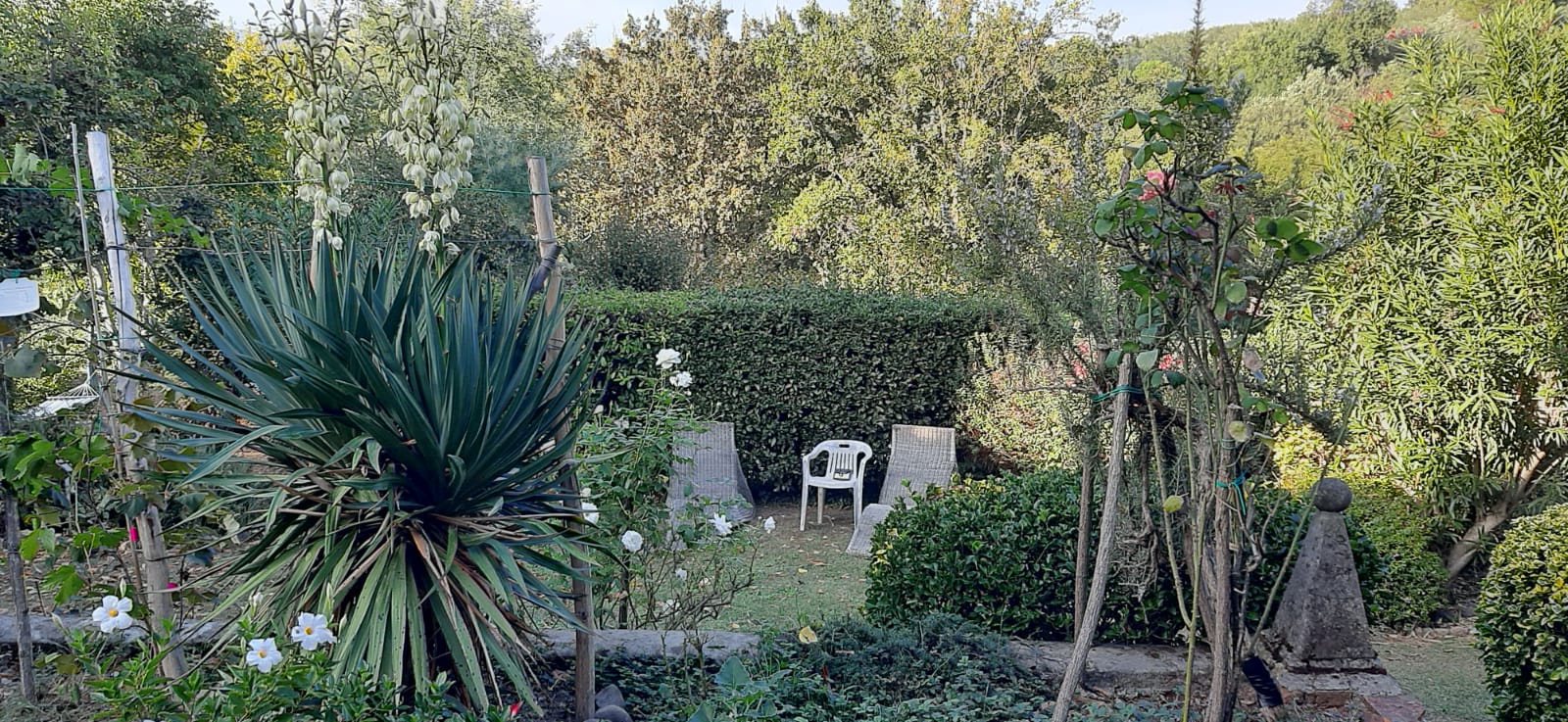 Agenzia Immobiliare San Martino