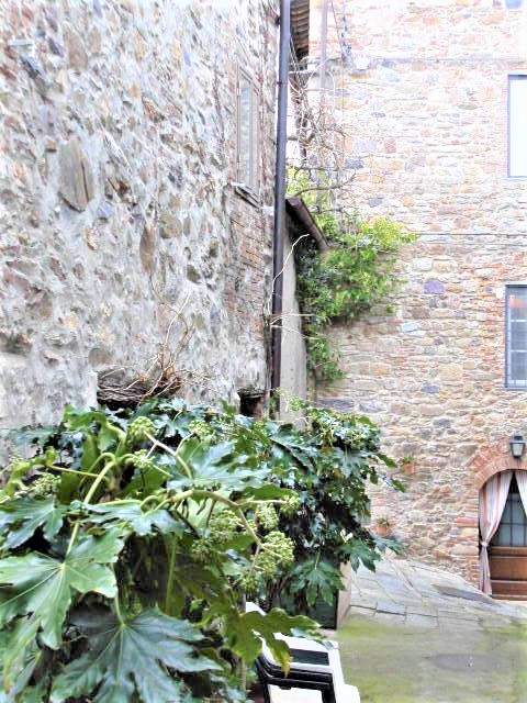 Agenzia Immobiliare San Martino