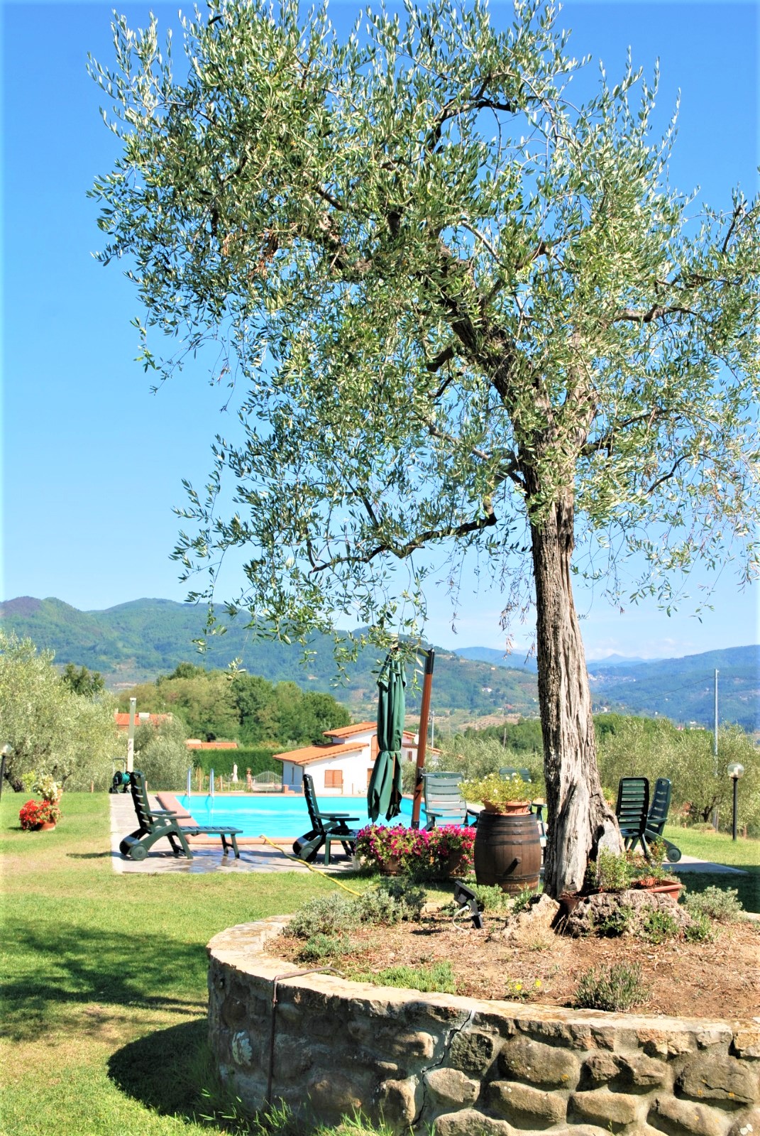 Agenzia Immobiliare San Martino