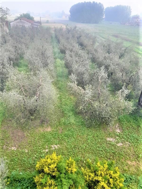 Agenzia Immobiliare San Martino