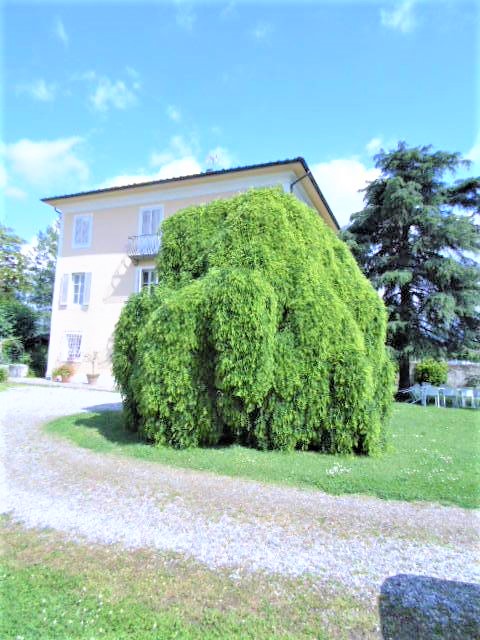 Agenzia Immobiliare San Martino