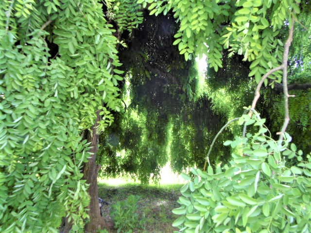 Agenzia Immobiliare San Martino