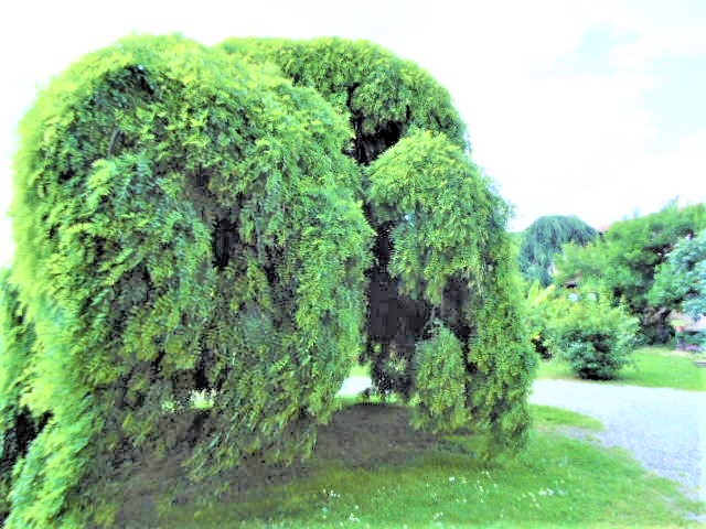 Agenzia Immobiliare San Martino