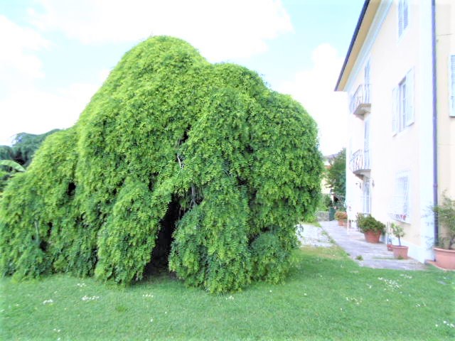 Agenzia Immobiliare San Martino