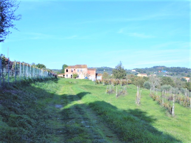 Agenzia Immobiliare San Martino