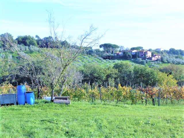 Agenzia Immobiliare San Martino