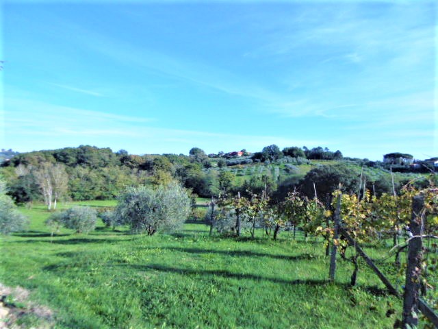 Agenzia Immobiliare San Martino