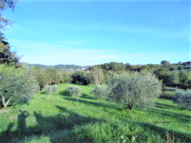 Agenzia Immobiliare San Martino
