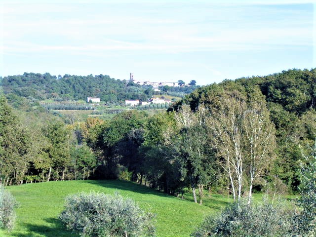 Agenzia Immobiliare San Martino