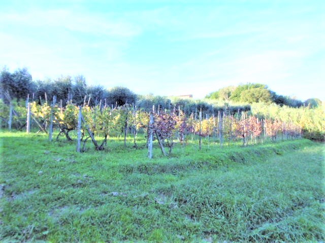 Agenzia Immobiliare San Martino
