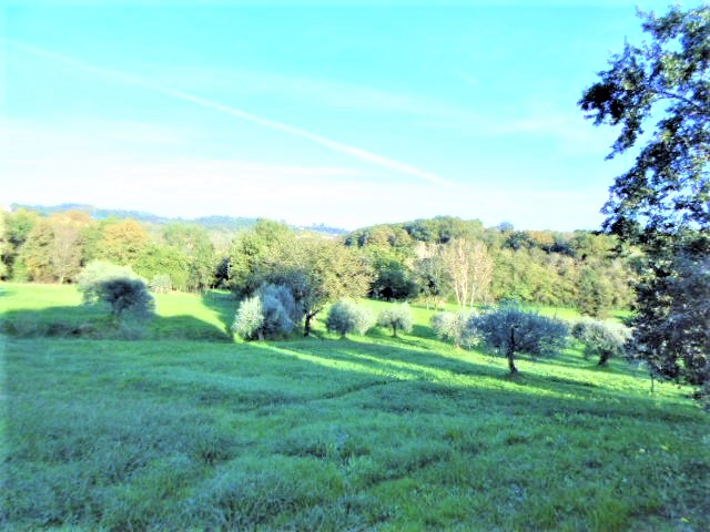 Agenzia Immobiliare San Martino