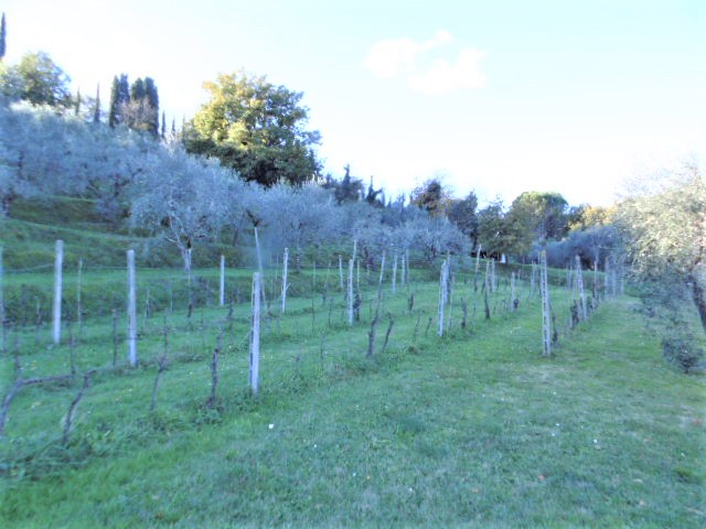 Agenzia Immobiliare San Martino