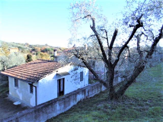 Agenzia Immobiliare San Martino