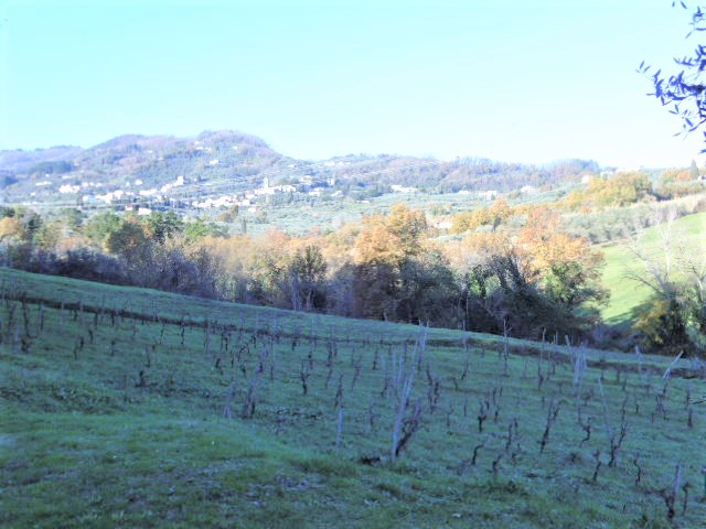 Agenzia Immobiliare San Martino