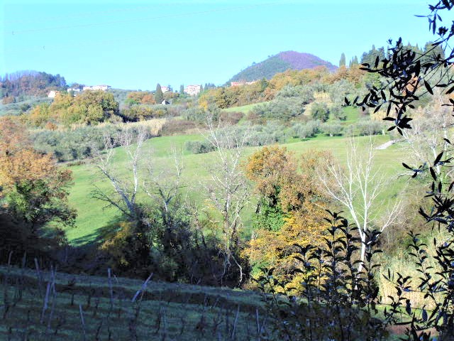 Agenzia Immobiliare San Martino