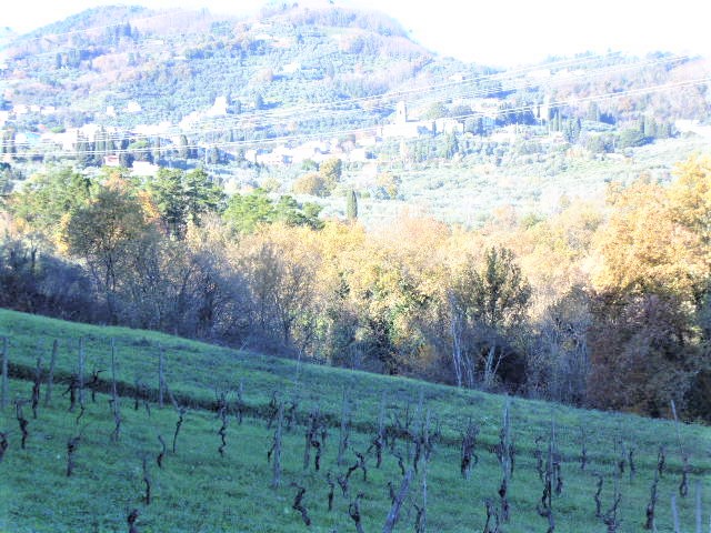 Agenzia Immobiliare San Martino