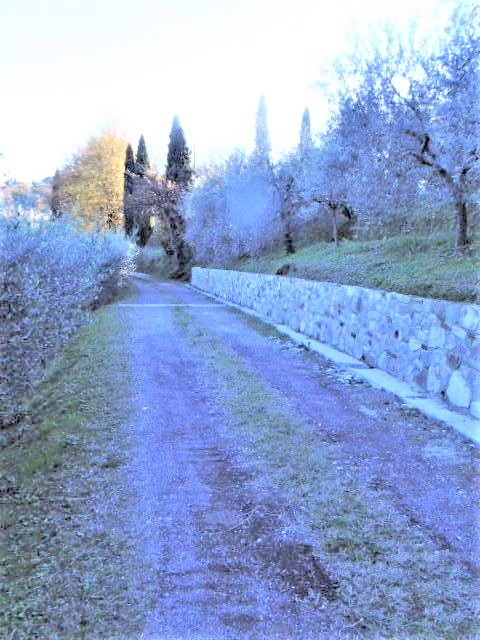 Agenzia Immobiliare San Martino