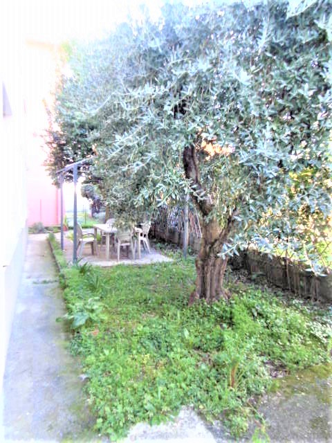 Agenzia Immobiliare San Martino