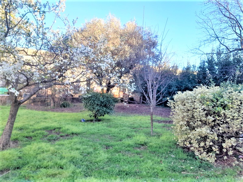 Agenzia Immobiliare San Martino