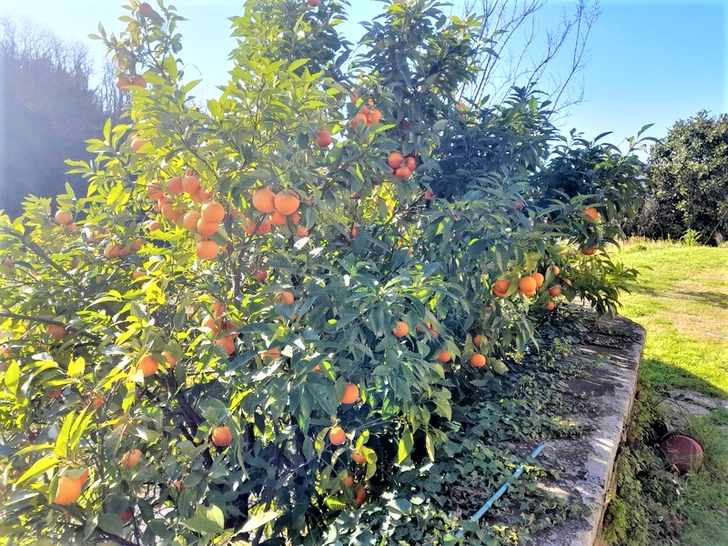 Agenzia Immobiliare San Martino