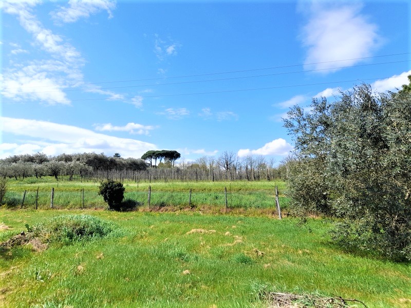 Agenzia Immobiliare San Martino